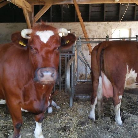 Wijhe Landgoed Groot Boerle Bed & Breakfast エクステリア 写真