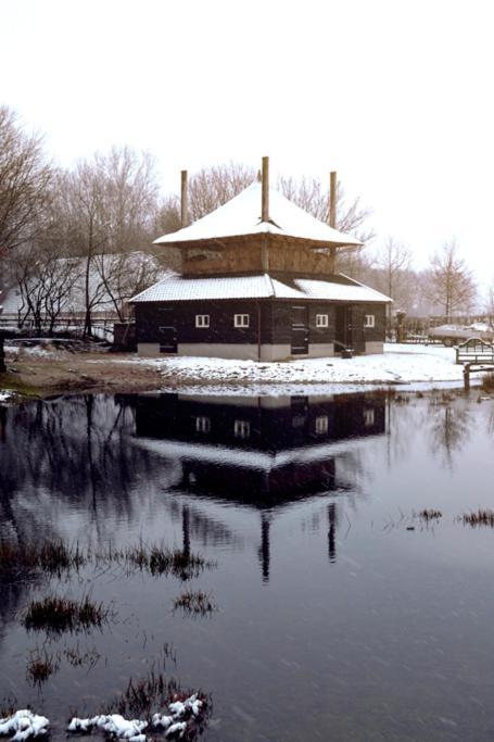 Wijhe Landgoed Groot Boerle Bed & Breakfast エクステリア 写真