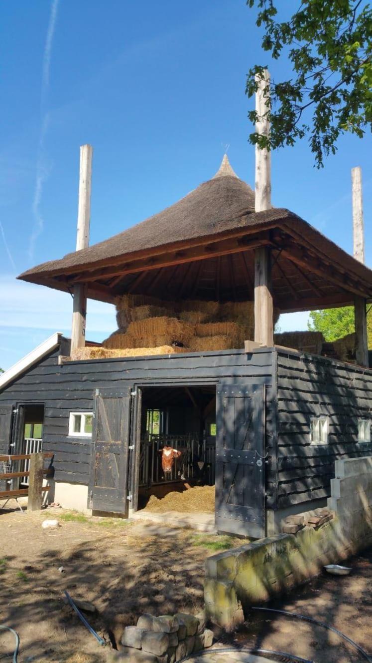 Wijhe Landgoed Groot Boerle Bed & Breakfast エクステリア 写真