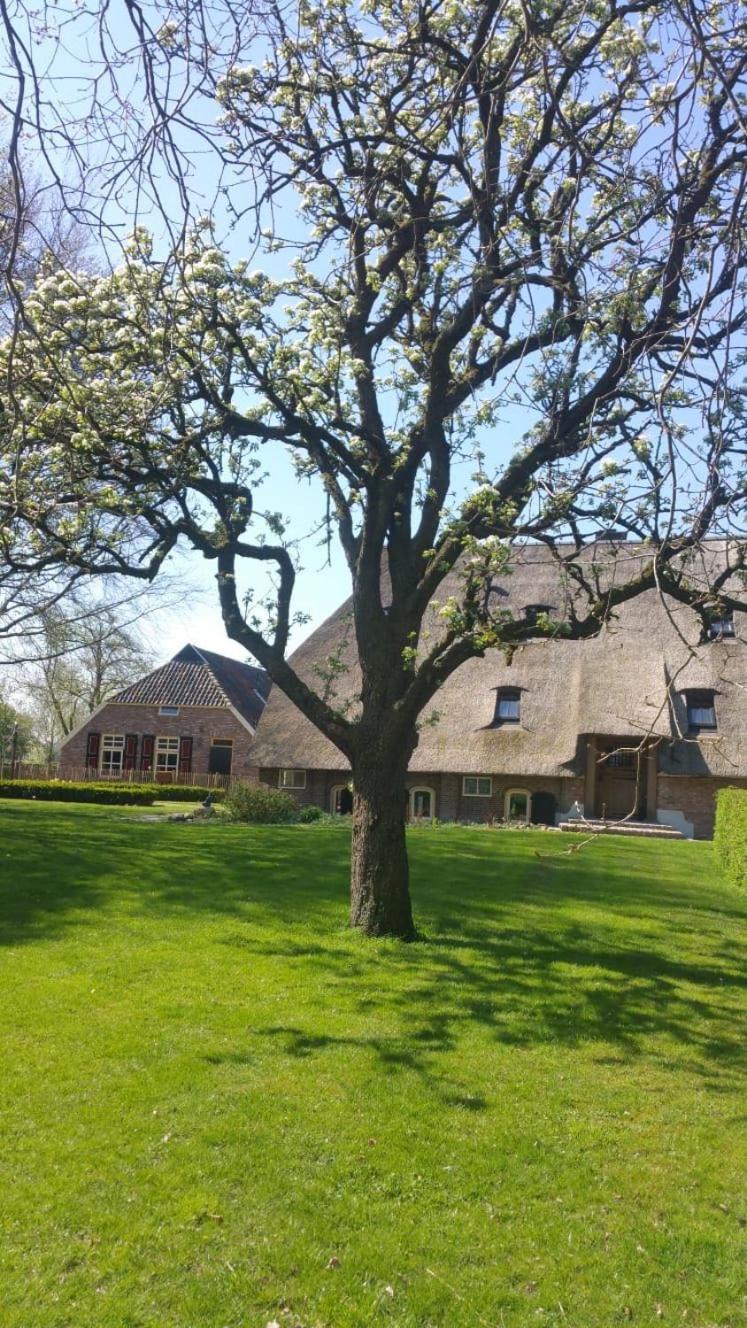 Wijhe Landgoed Groot Boerle Bed & Breakfast エクステリア 写真