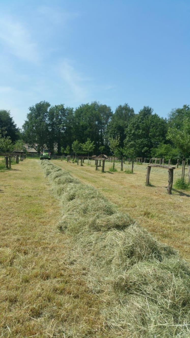 Wijhe Landgoed Groot Boerle Bed & Breakfast エクステリア 写真